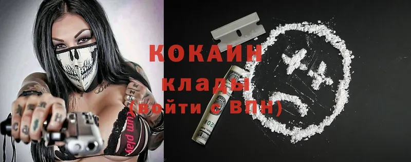 купить наркотики цена  Злынка  Cocaine Fish Scale 